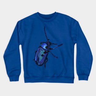 Water Beetle Crewneck Sweatshirt